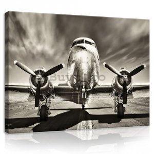 Tablou canvas: Avion (alb-negru) - 75x100 cm