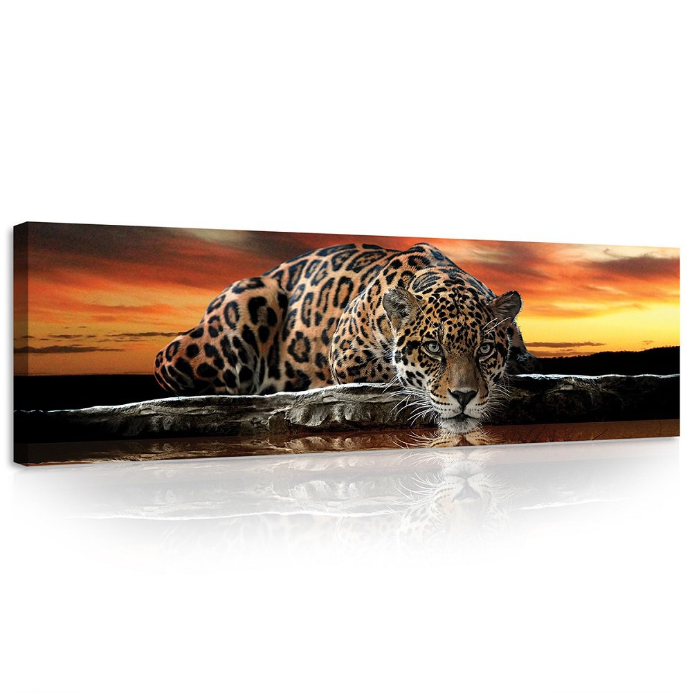 Tablou canvas: Jaguar - 145x45 cm