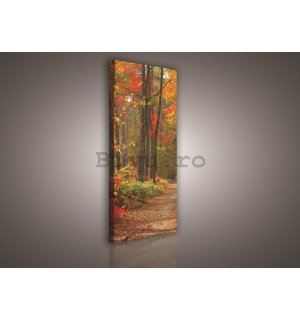Tablou canvas: Pădure de toamnă - 145x45 cm