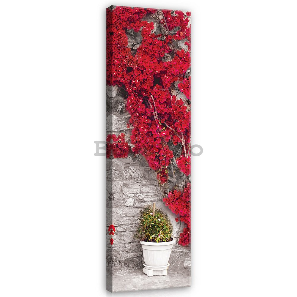 Tablou canvas: Zid roșu cu flori - 145x45 cm