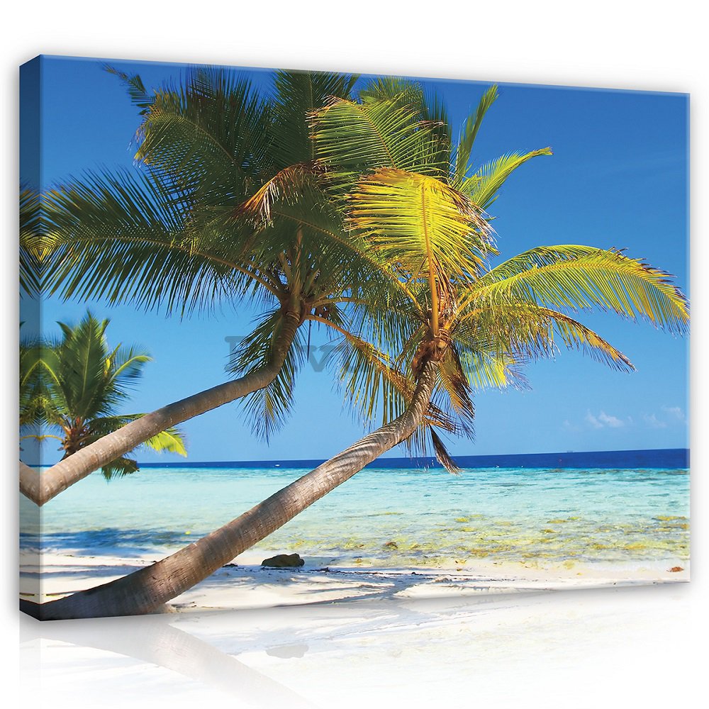 Tablou canvas: Plajă cu palmier - 75x100 cm