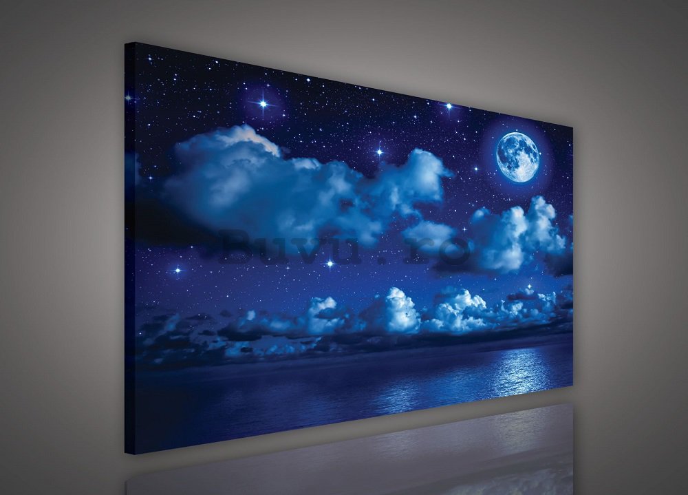 Tablou canvas: Noapte cu lună - 75x100 cm