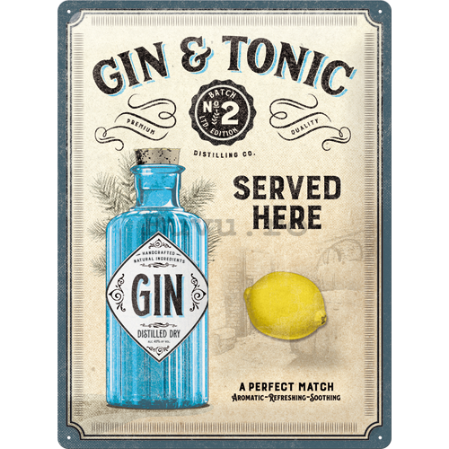 Placă metalică: Gin & Tonic Served Here - 40x30 cm