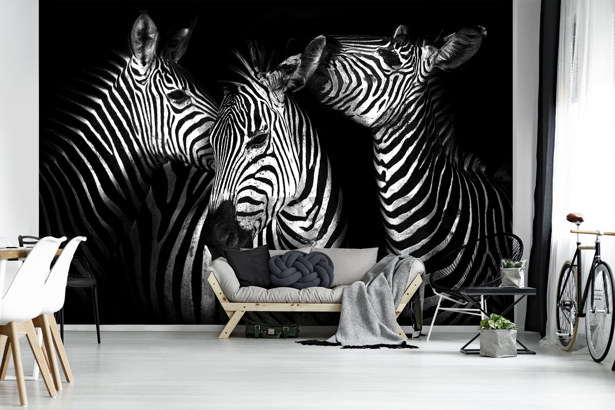 Fototapet: Zebre (4) - 184x254 cm