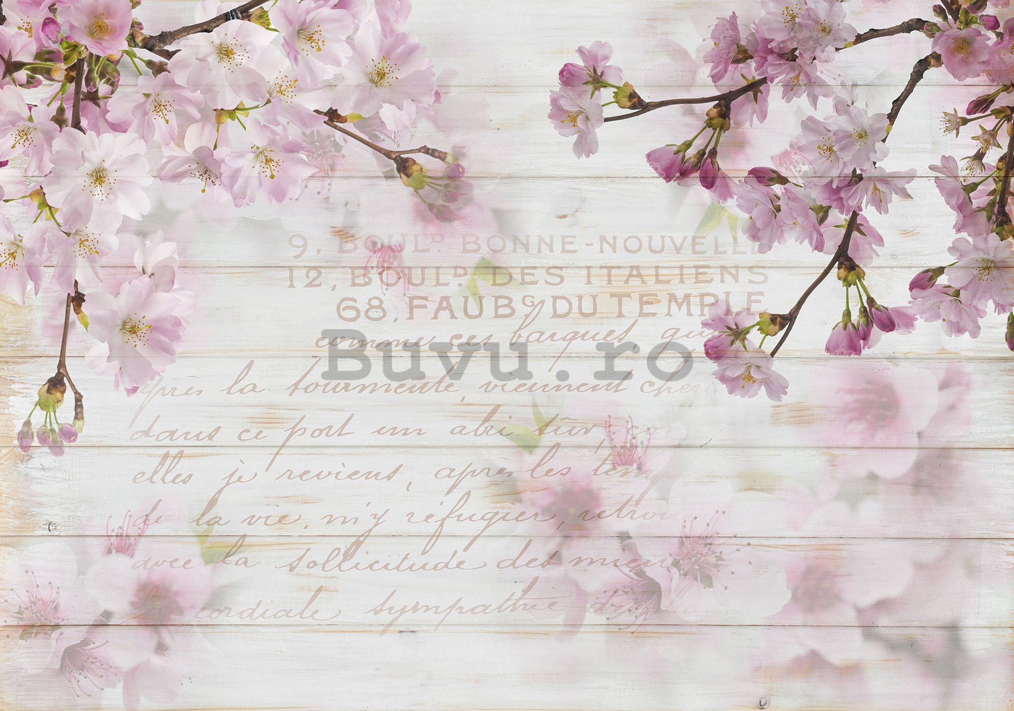 Fototapet vlies: flori de cireș (1) - 184x254 cm