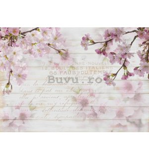 Fototapet vlies: flori de cireș (1) - 184x254 cm