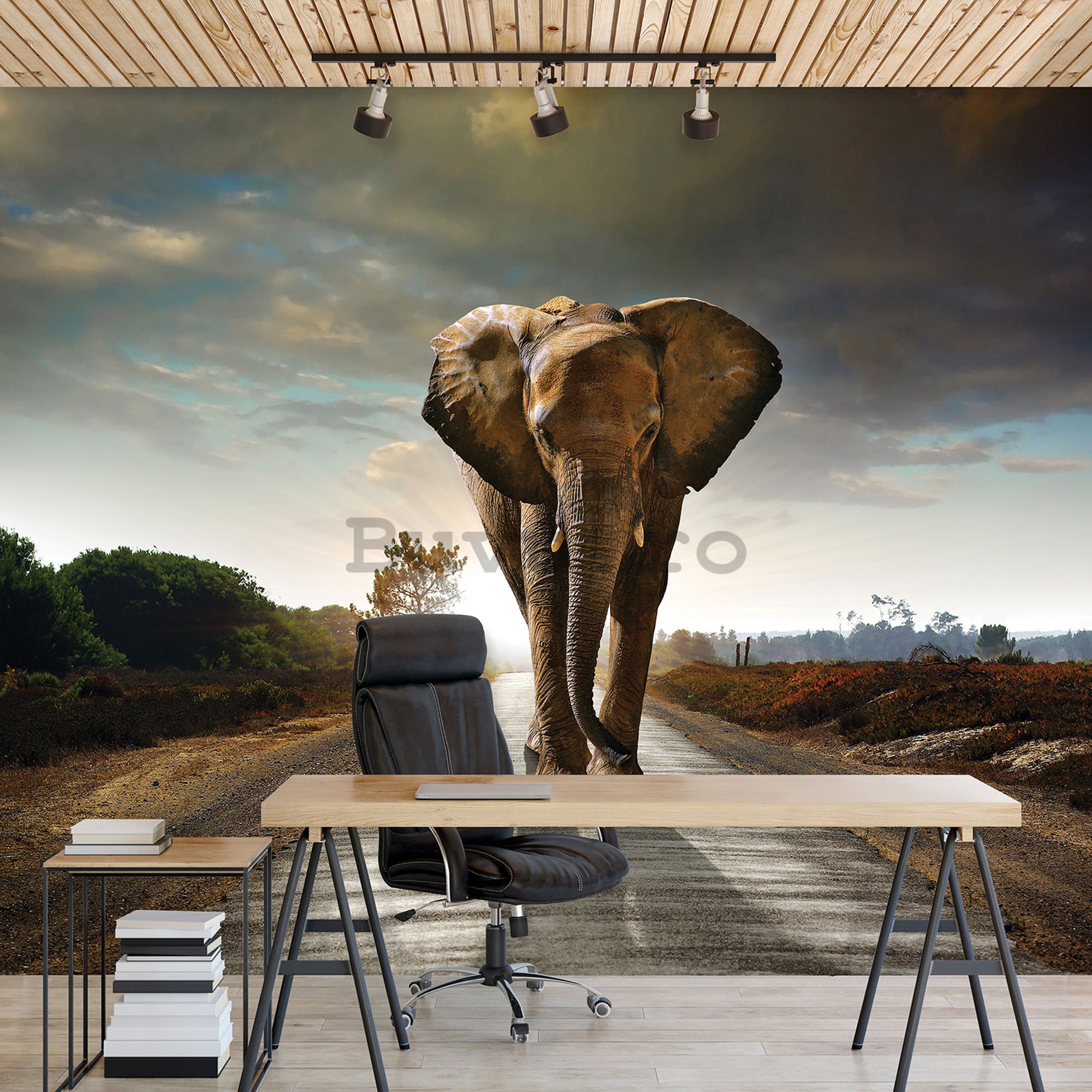 Fototapet vlies: Elefant (4) - 184x254 cm