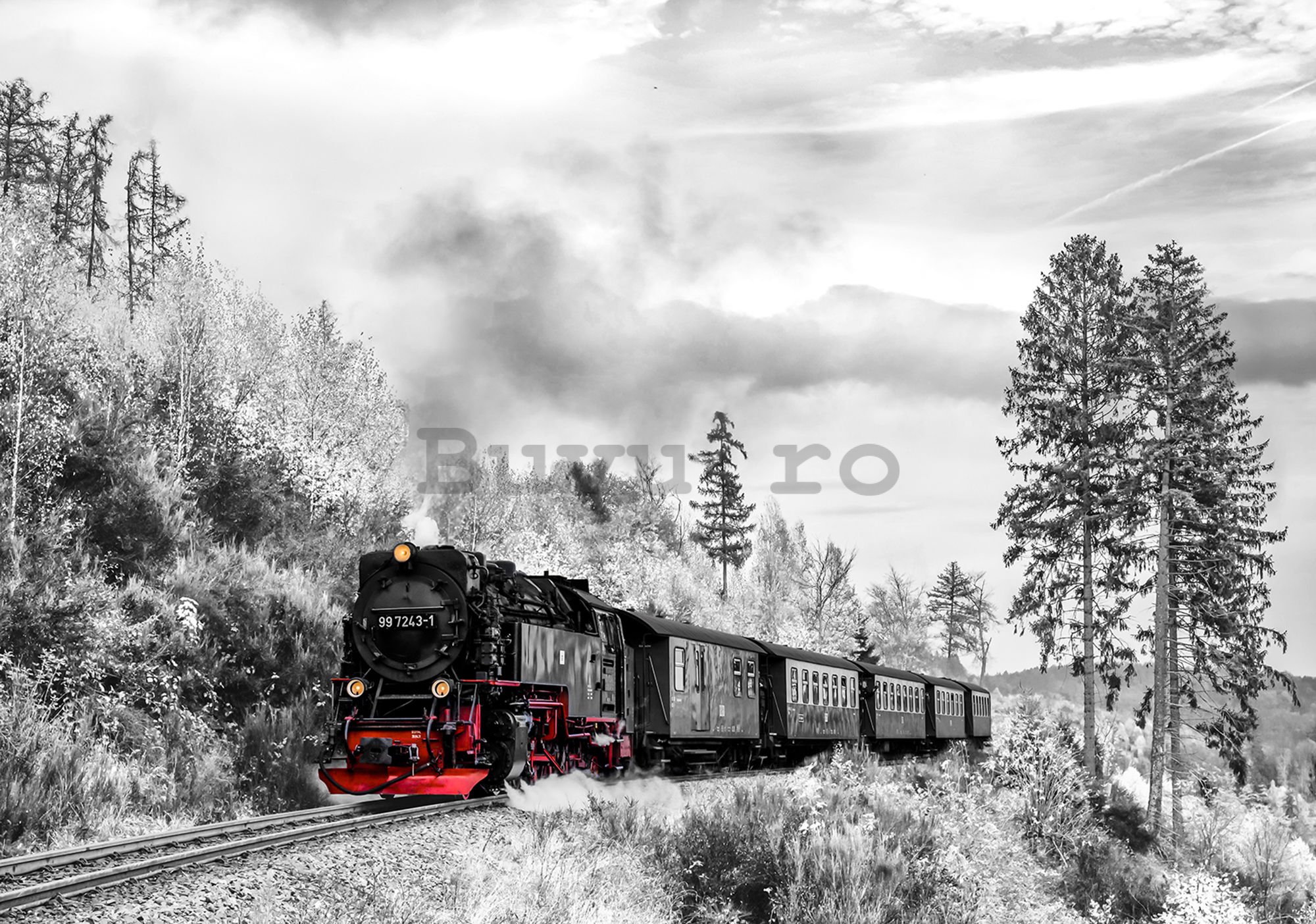 Fototapet: Locomotivă cu abur (2) - 184x254 cm