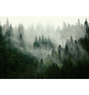 Fototapet: Ceață peste pădure (1) - 184x254 cm