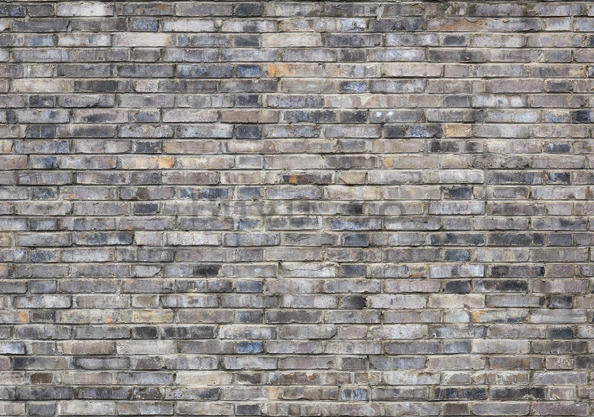 Fototapet vlies: Zid de cărămidă (5) - 184x254 cm