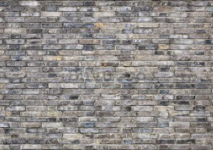 Fototapet vlies: Zid de cărămidă (5) - 184x254 cm