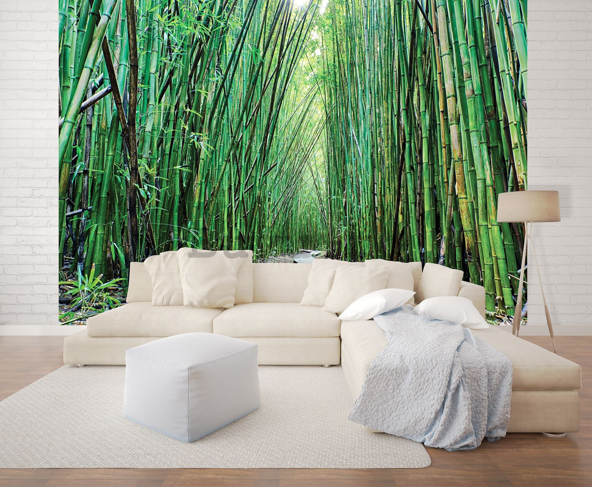 Fototapet vlies: Pădure de bambus (2) - 184x254 cm