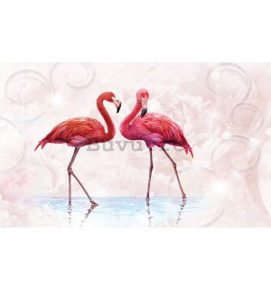 Fototapet: Flamingo - 254x368 cm