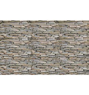 Fototapet: Zid de piatră (1) - 254x368 cm