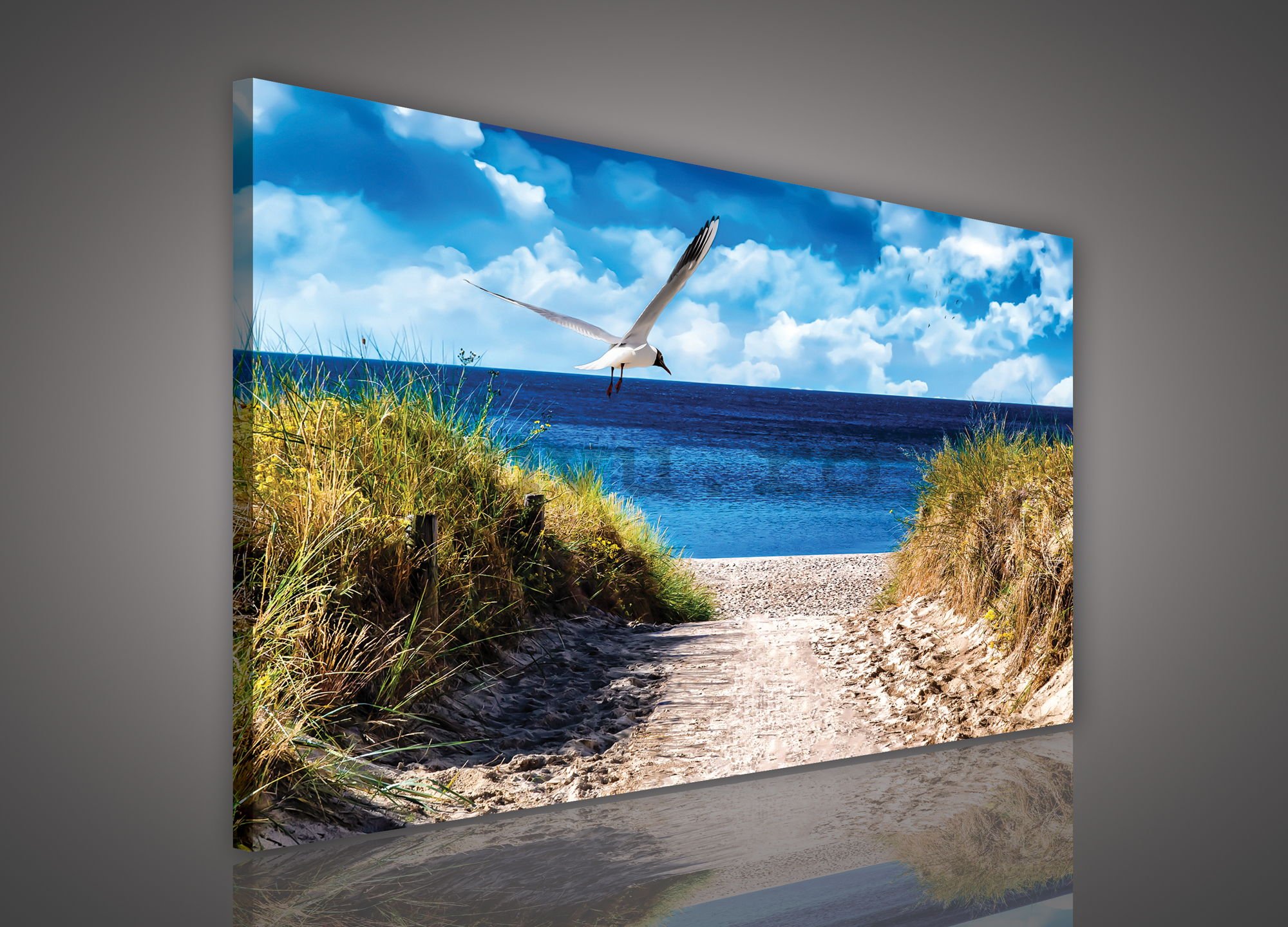 Tablou canvas: Drum spre plajă (7) - 75x100 cm