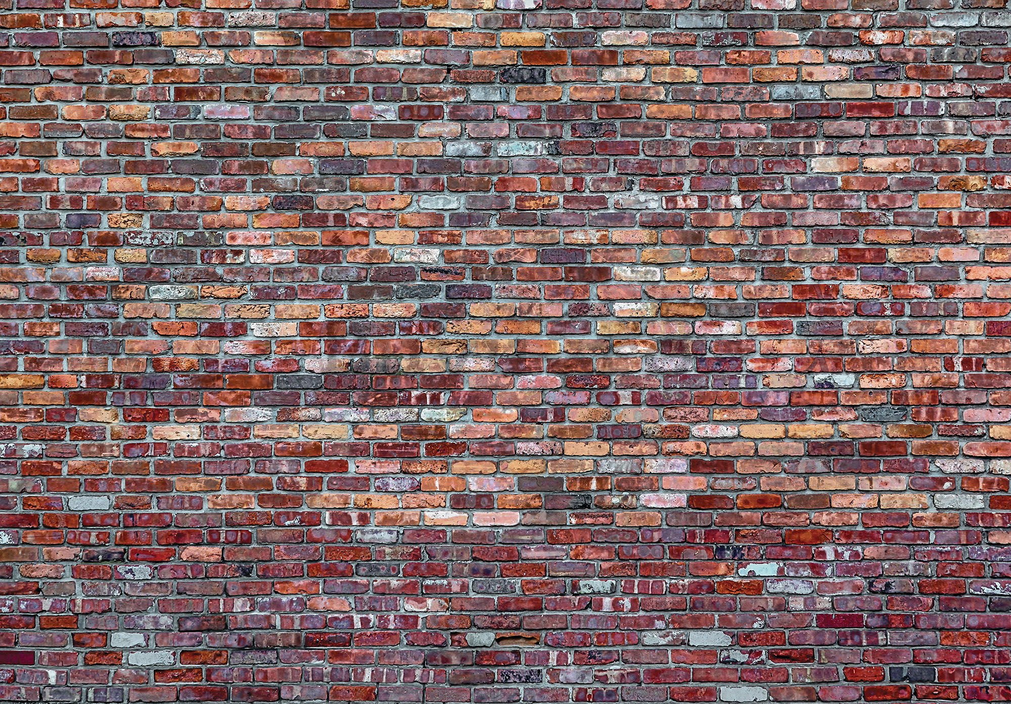 Fototapet: Zid de cărămidă (4) - 184x254 cm