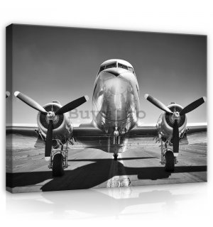 Tablou canvas: Aeronave negre și albe (1) - 75x100 cm