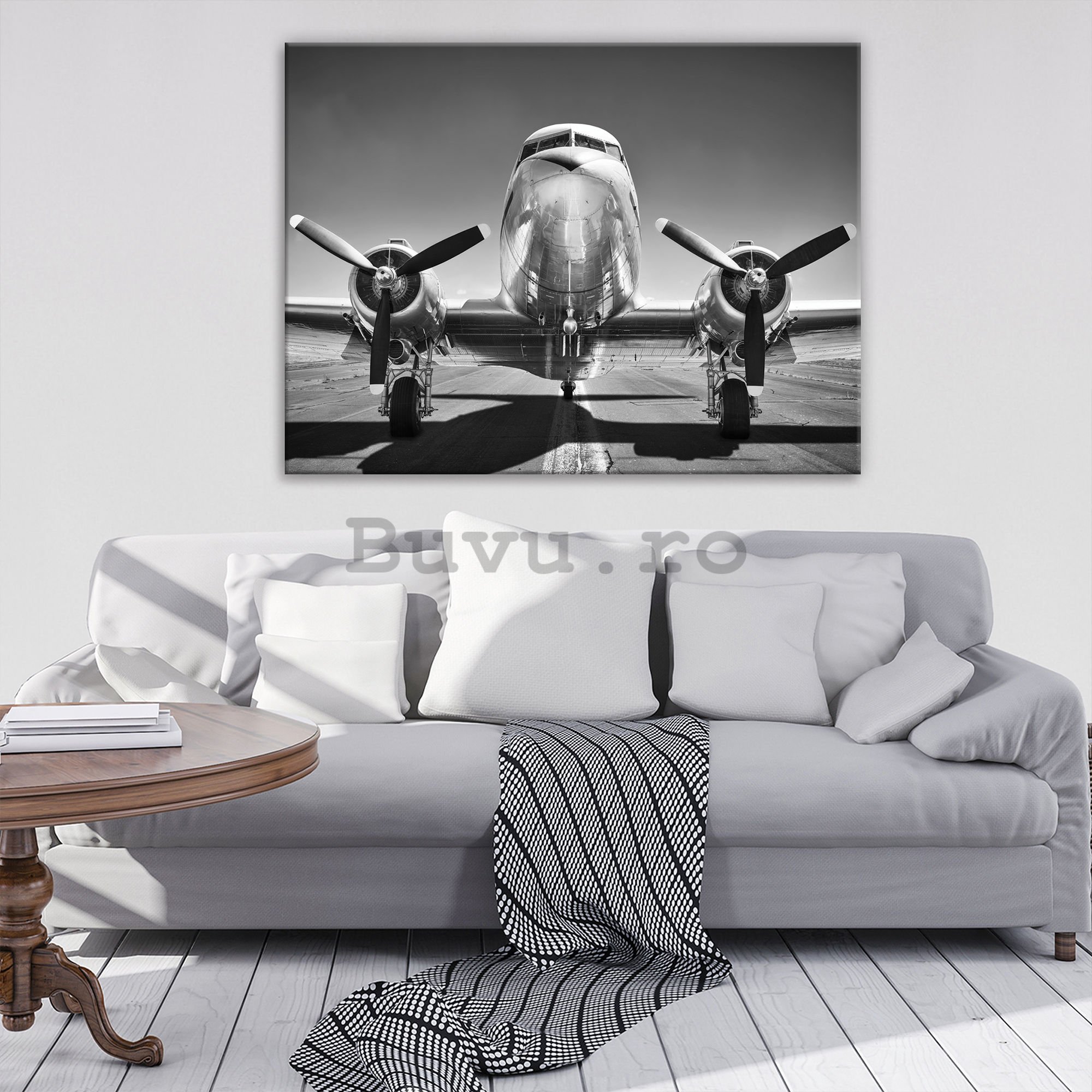 Tablou canvas: Aeronave negre și albe (1) - 75x100 cm