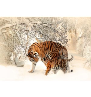 Fototapet vlies: Tigrii (1) - 184x254 cm