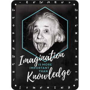 Placă metalică: Einstein (Imagination & Knowledge) - 20x15 cm