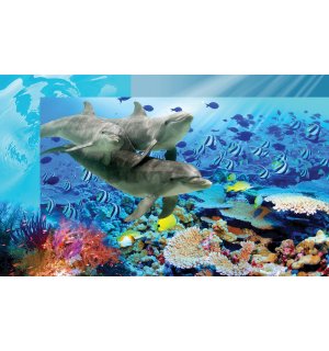 Fototapet vlies: Lumea submarină - 416x254 cm