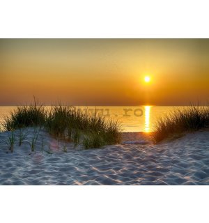 Fototapet vlies: Apus de soare pe plajă (5) - 416x254 cm