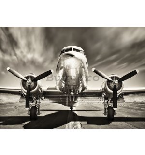 Fototapet vlies: Avion (alb-negru) - 416x254 cm