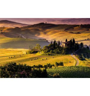 Fototapet vlies: Toscana - 416x254 cm