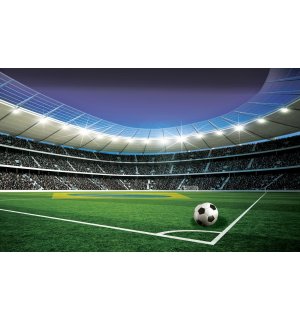 Fototapet vlies: Stadion de Fotbal (5) - 416x254 cm