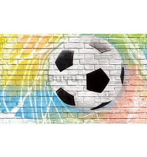 Fototapet vlies: Minge de fotbal (pictată) - 416x254 cm