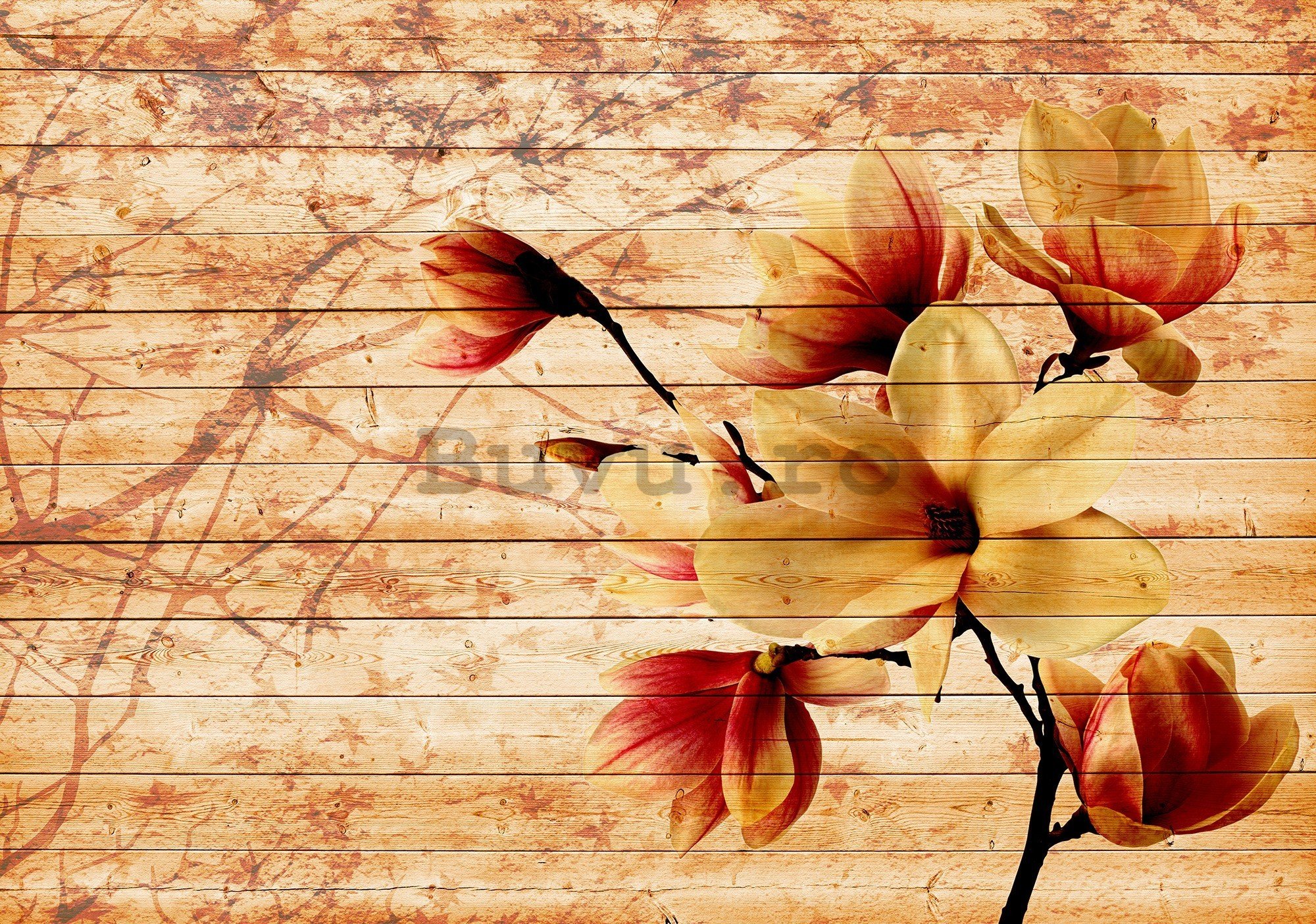Fototapet vlies: Magnolii (4) - 416x254 cm