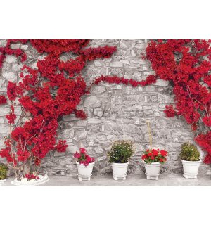 Fototapet vlies: Zid roșu cu flori - 416x254 cm