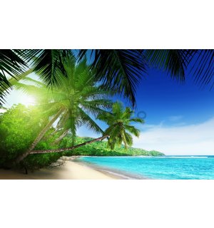 Fototapet vlies: Paradis pe plajă - 416x254 cm