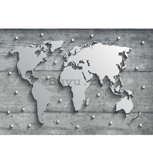 Fototapet vlies: Harta lumii din metal - 416x254 cm