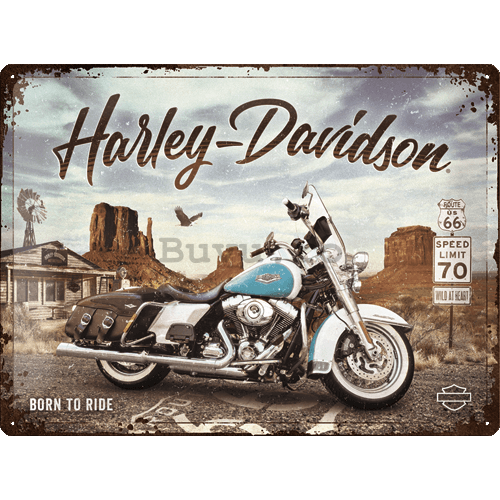 Placă metalică: Harley-Davidson (King of Route 66) - 40x30 cm