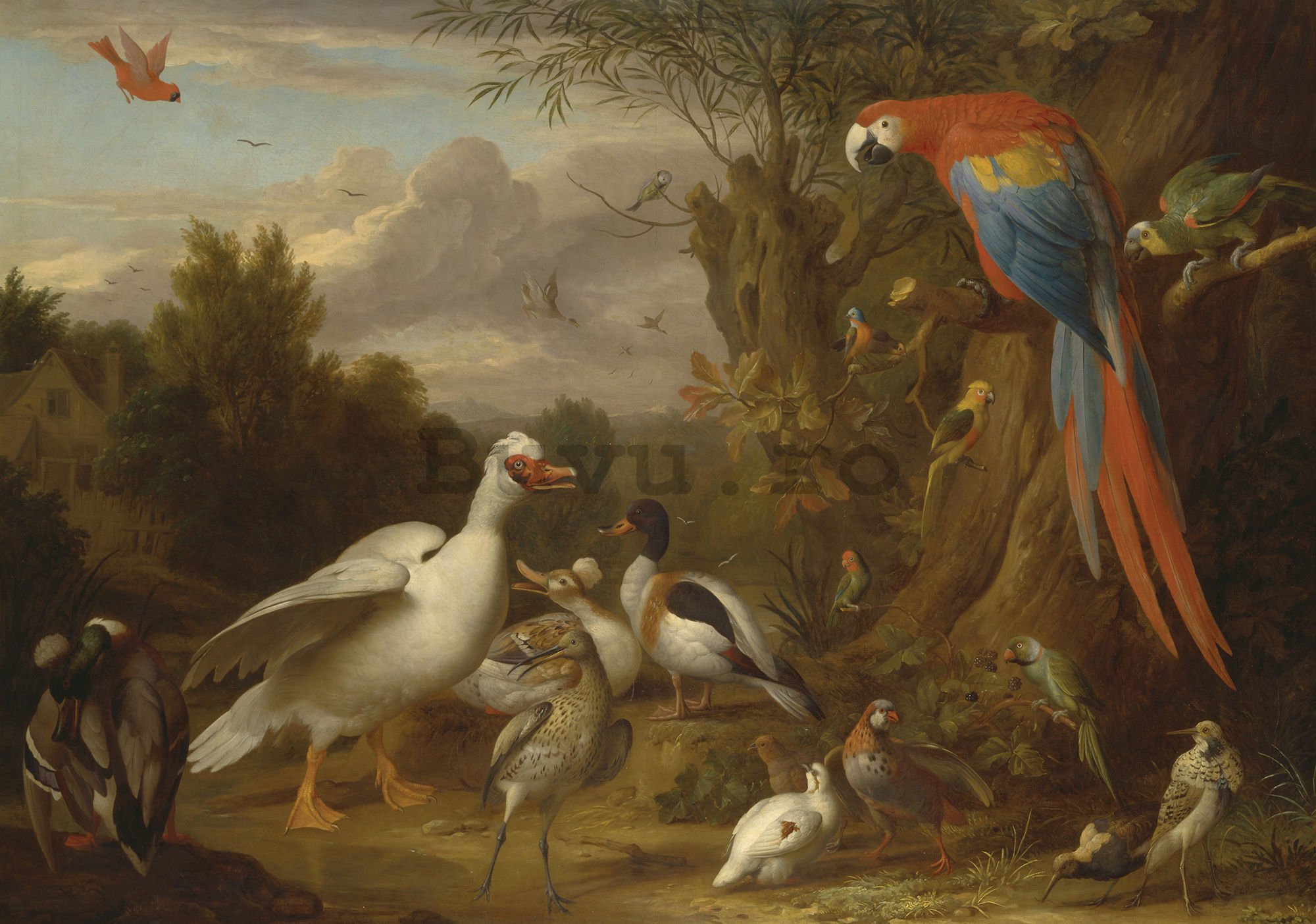 Fototapet: Ducks, Parrots and Other Birds in a Landscape - 184x254 cm