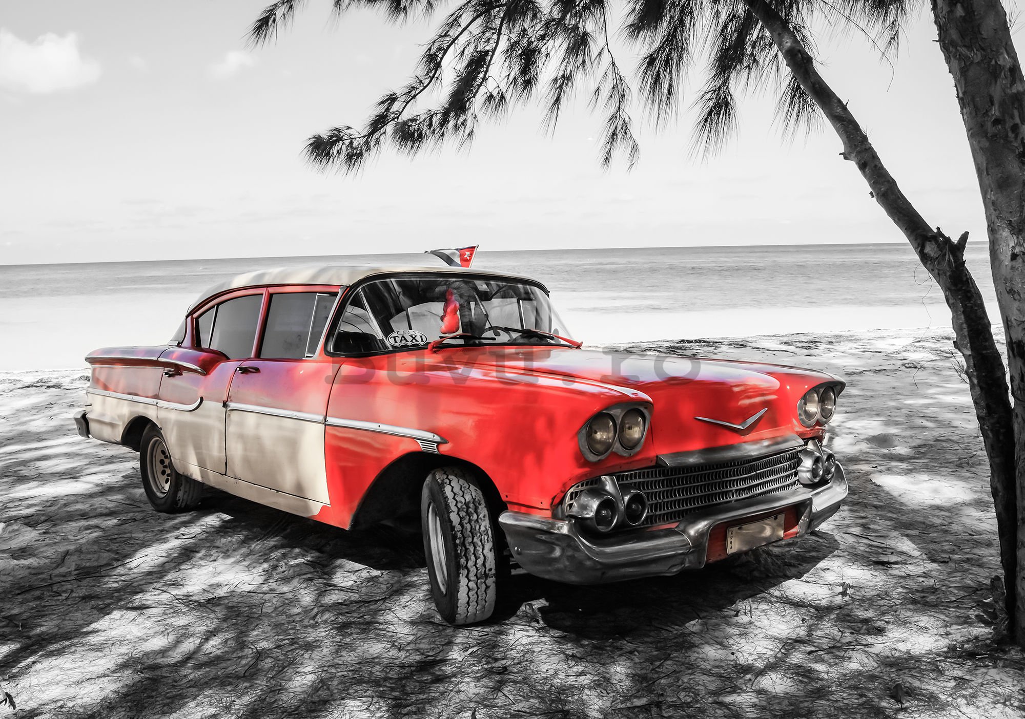 Fototapet vlies: Cuba roșie mașină lângă mare - 254x368 cm