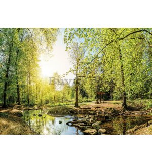Fototapet vlies: Pârâu de pădure (3) - 254x368 cm