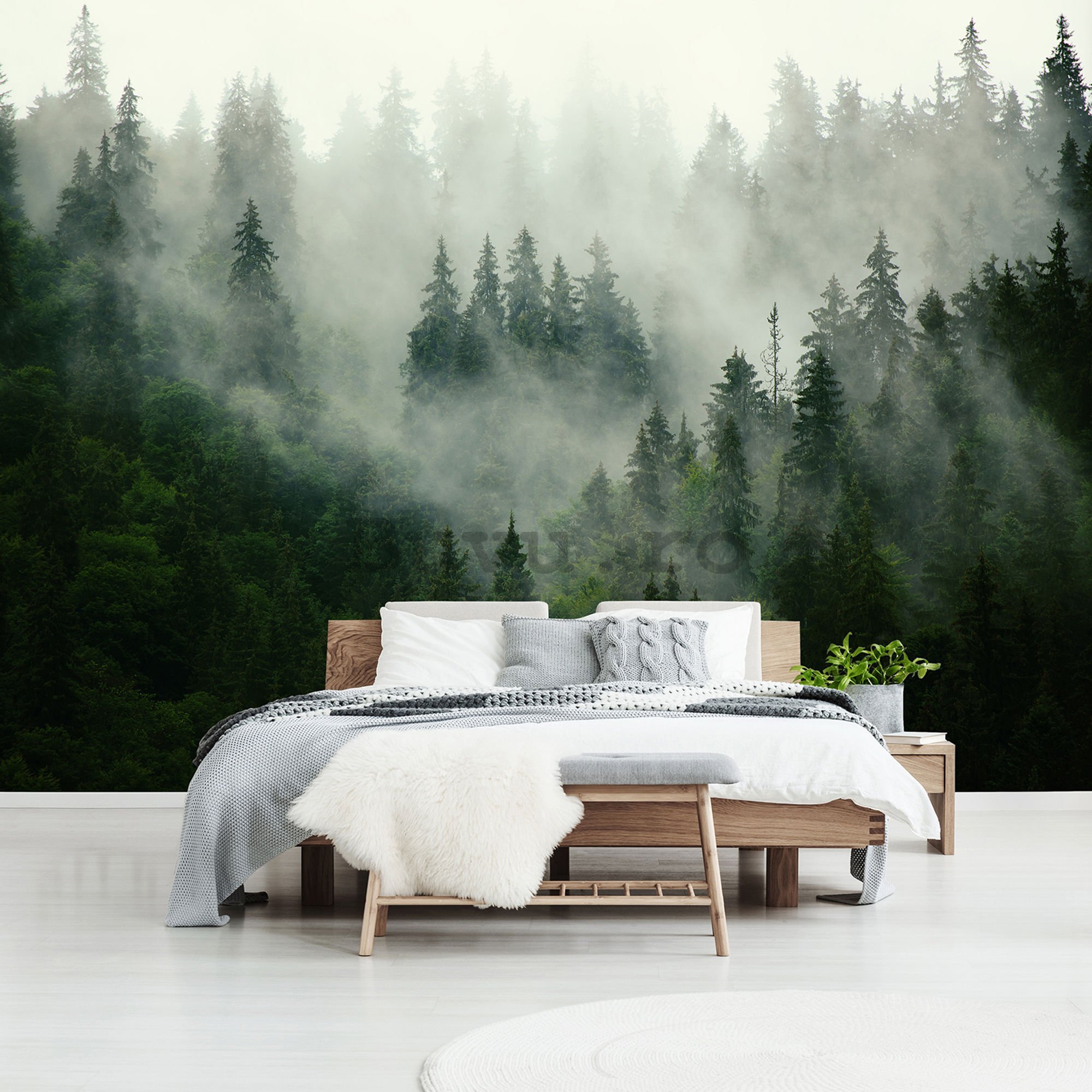 Fototapet vlies: Ceață peste pădure (1) - 416x254 cm