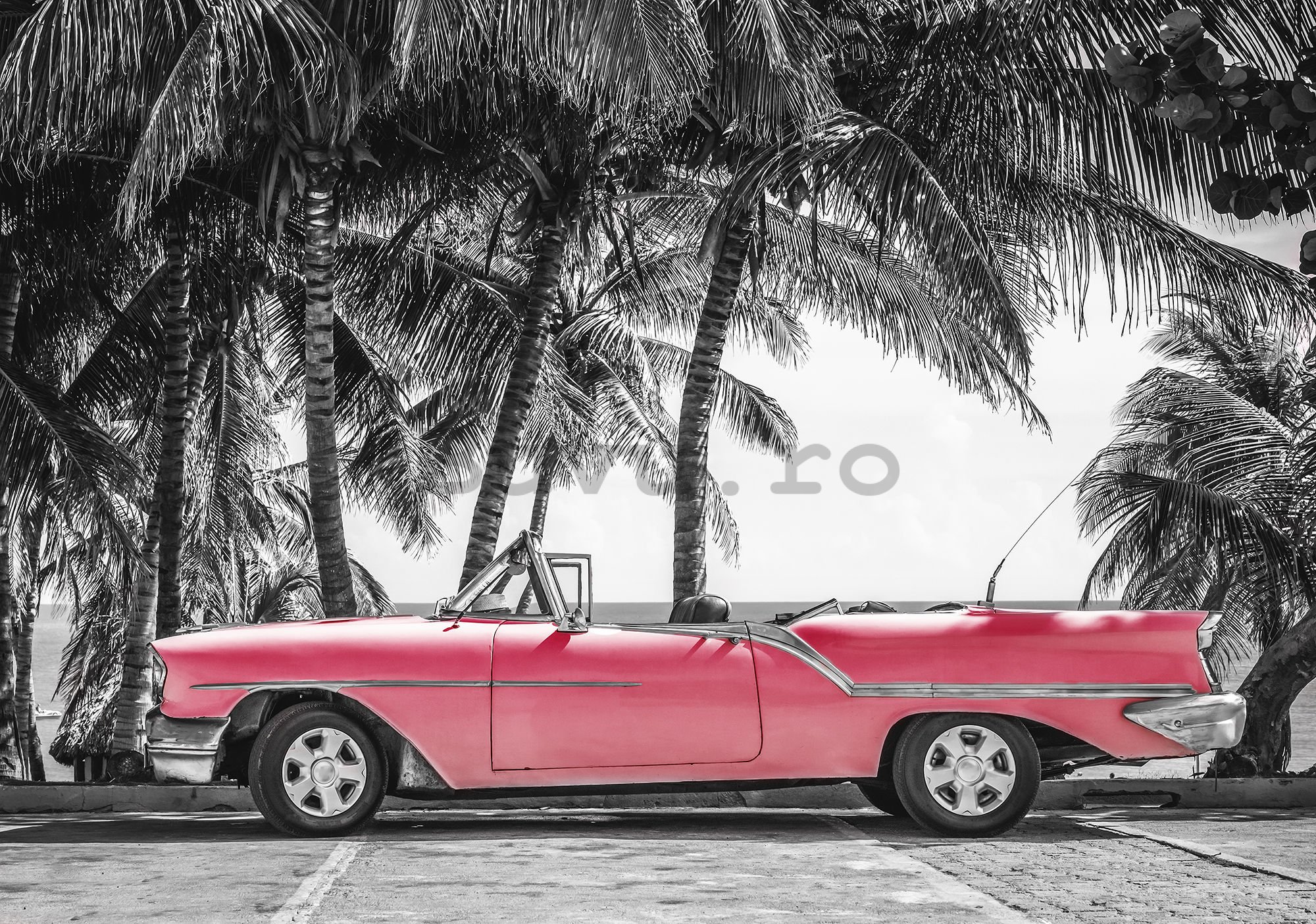 Fototapet vlies: Masina rosie Cuba - 254x368 cm