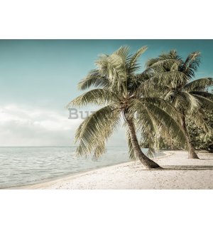 Fototapet vlies: Coasta cu palmier - 184x254 cm