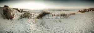 Fototapet: Dune de nisip - 624x219 cm