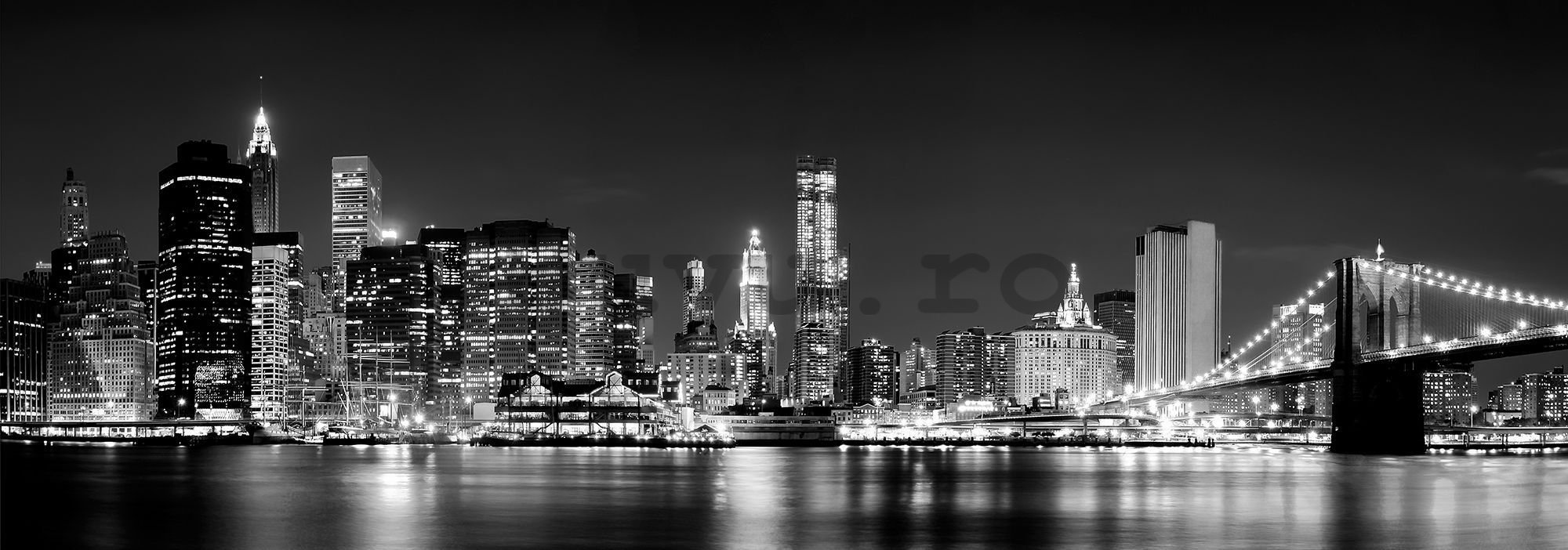 Fototapet: N.Y. noaptea (alb-negru) - 624x219 cm