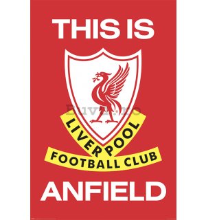 Poster - Liverpool Fc (This Is Anfield)