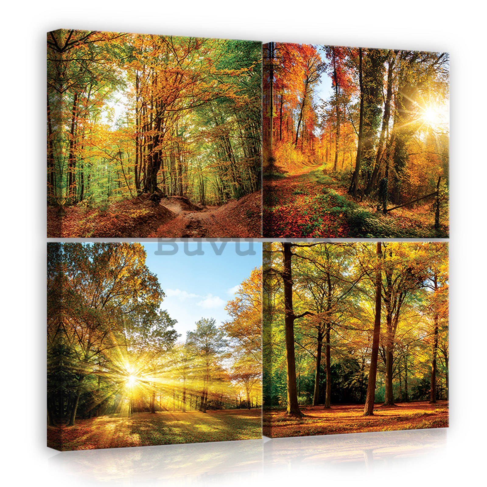 Tablou canvas: Pădure - set 4 buc 25x25cm