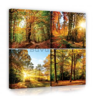 Tablou canvas: Pădure - set 4 buc 25x25cm