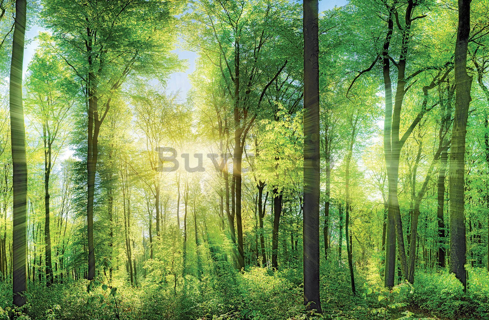 Tablou canvas: Pădurea Verde (1) - 116x76 cm