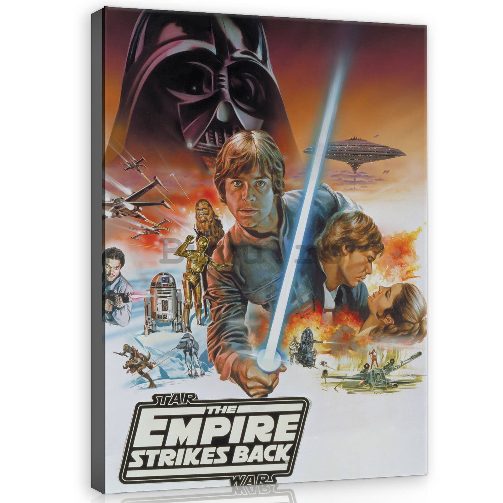 Tablou canvas: Star Wars The Empire Strikes Back - 75x100 cm