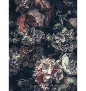 Fototapet: Combinație de flori (2) - 184x254 cm