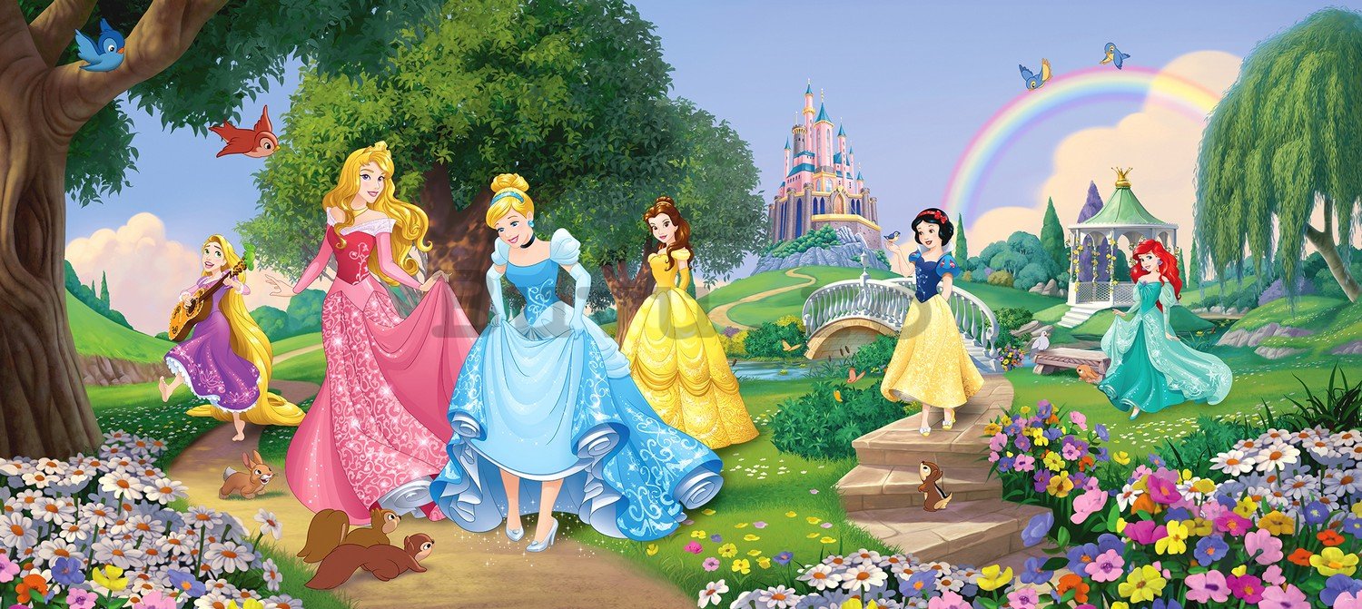 Fototapet vlies: Disney princess (panoramă)  - 202x90 cm
